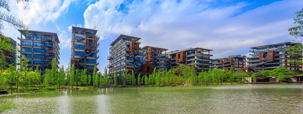 太陽能路燈，太陽能廠家，太陽能價格