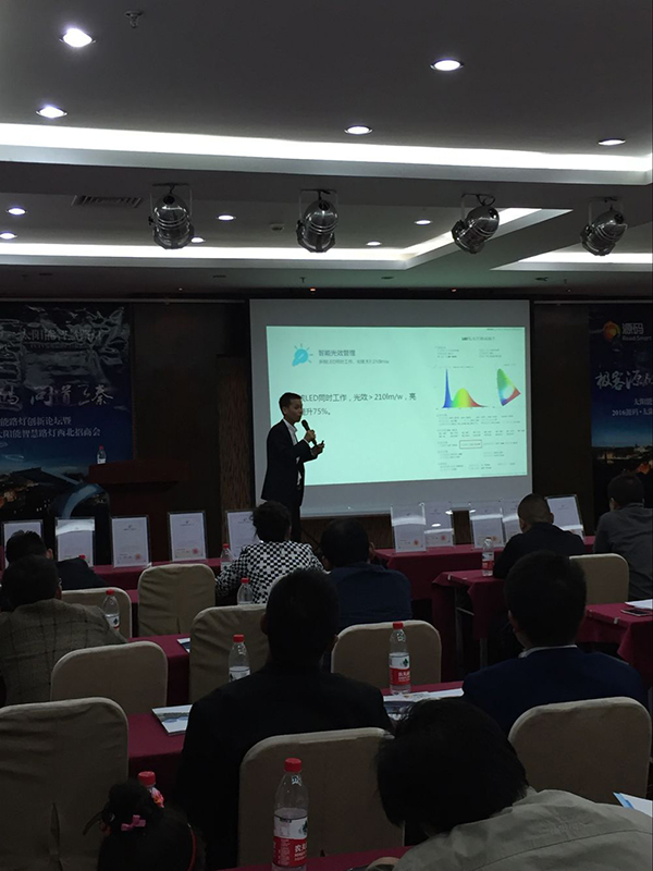 太陽能路燈，太陽能路燈廠家，太陽能路燈價格