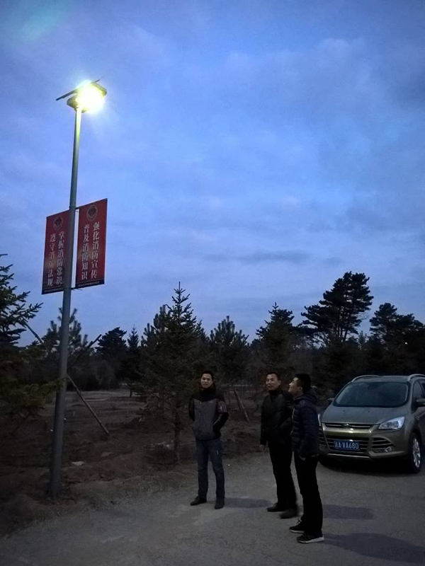 太陽能路燈，太陽能路燈廠家，太陽能路燈價格