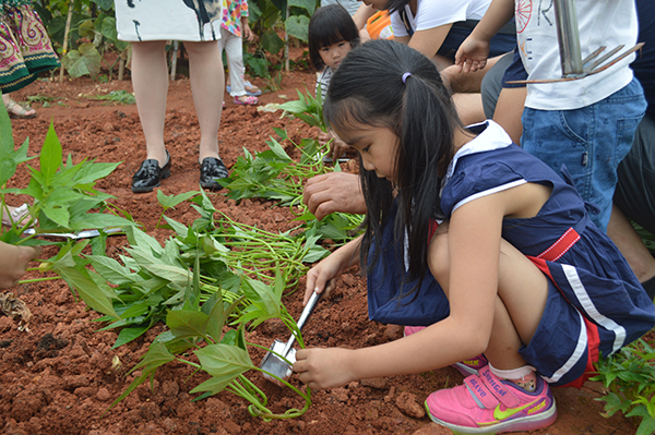 太陽(yáng)能路燈，太陽(yáng)能路燈廠家，太陽(yáng)能路燈價(jià)格