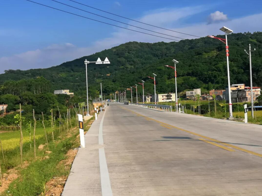 晴空排云雁高飛，源碼項目掀熱潮